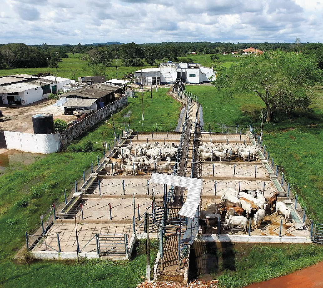 Aracarnes - Estruturas